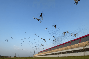 �����Ҽ������0����ѵ��