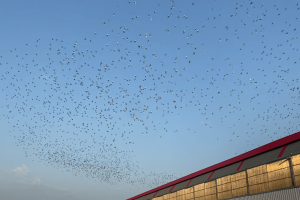 �����Ҽ������0����ѵ��