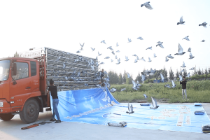 �����Ҽ������0����ѵ��