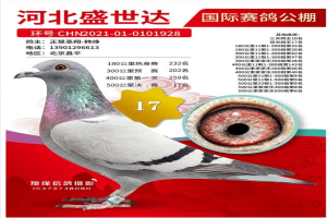 ���ظ���10��