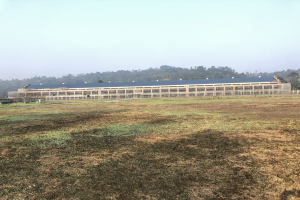 ����ȫ��