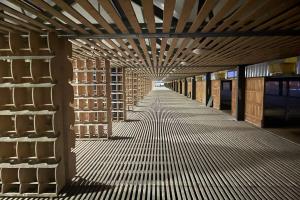 �������������ֲ�(С��)