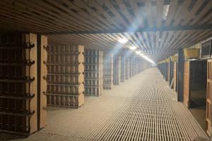 �������������ֲ�(С��)