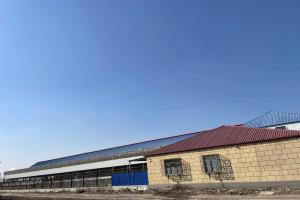 �������������ֲ�(С��)