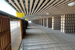 �������������ֲ�(С��)