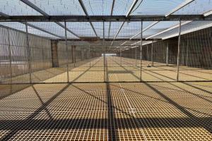 �������������ֲ�(С��)