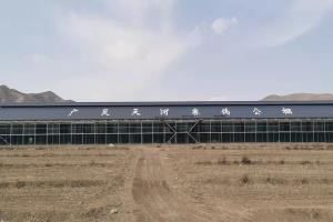 ����ʵ��