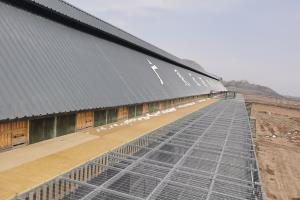 ����ʵ��