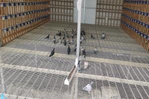 ����ʵ��