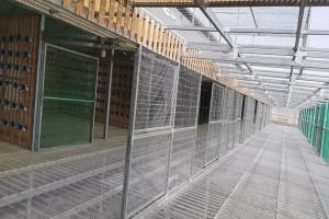 ����ʵ��