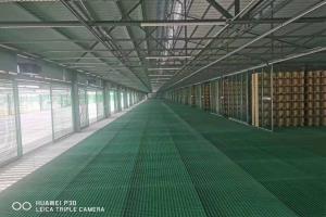 ������Ƭ