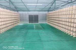 ������Ƭ