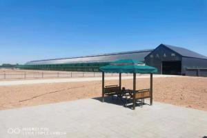 ������Ƭ