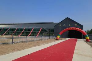 ������Ƭ