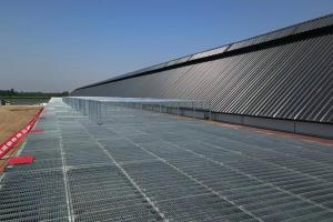 ������Ƭ