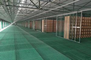 ������Ƭ