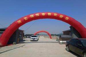 ������Ƭ