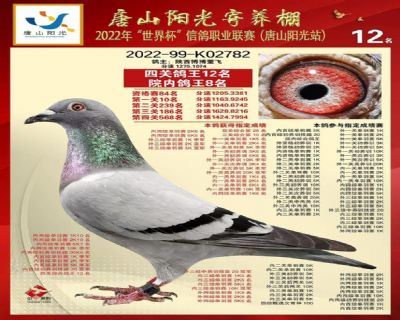 ͼƬչʾ