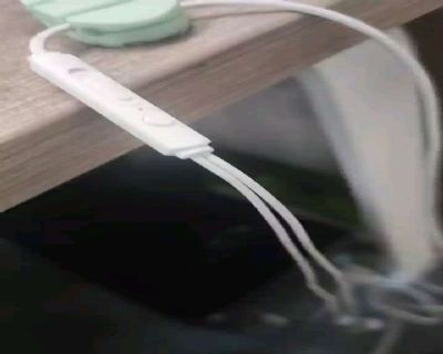 ͼƬչʾ