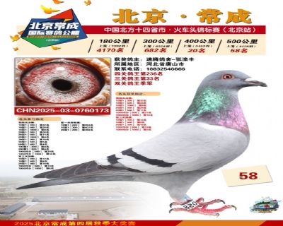 ˫�ظ�������