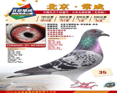 ˫�عھ� ���عھ�