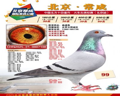 �����Ǿ� �Ĺعھ�