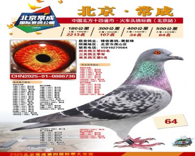 ���ظ�������