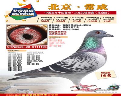 ��ظ����Ǿ�