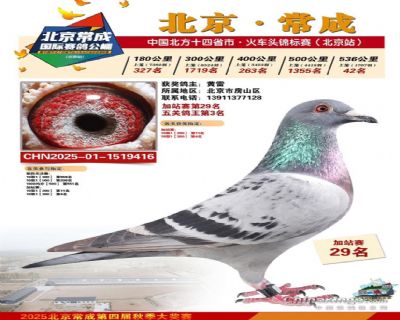 ��ظ�������