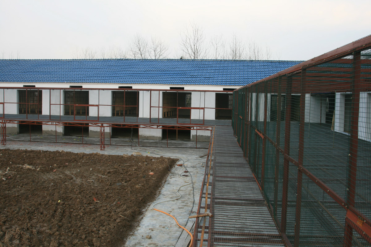 安徽飞飞赛鸽公棚