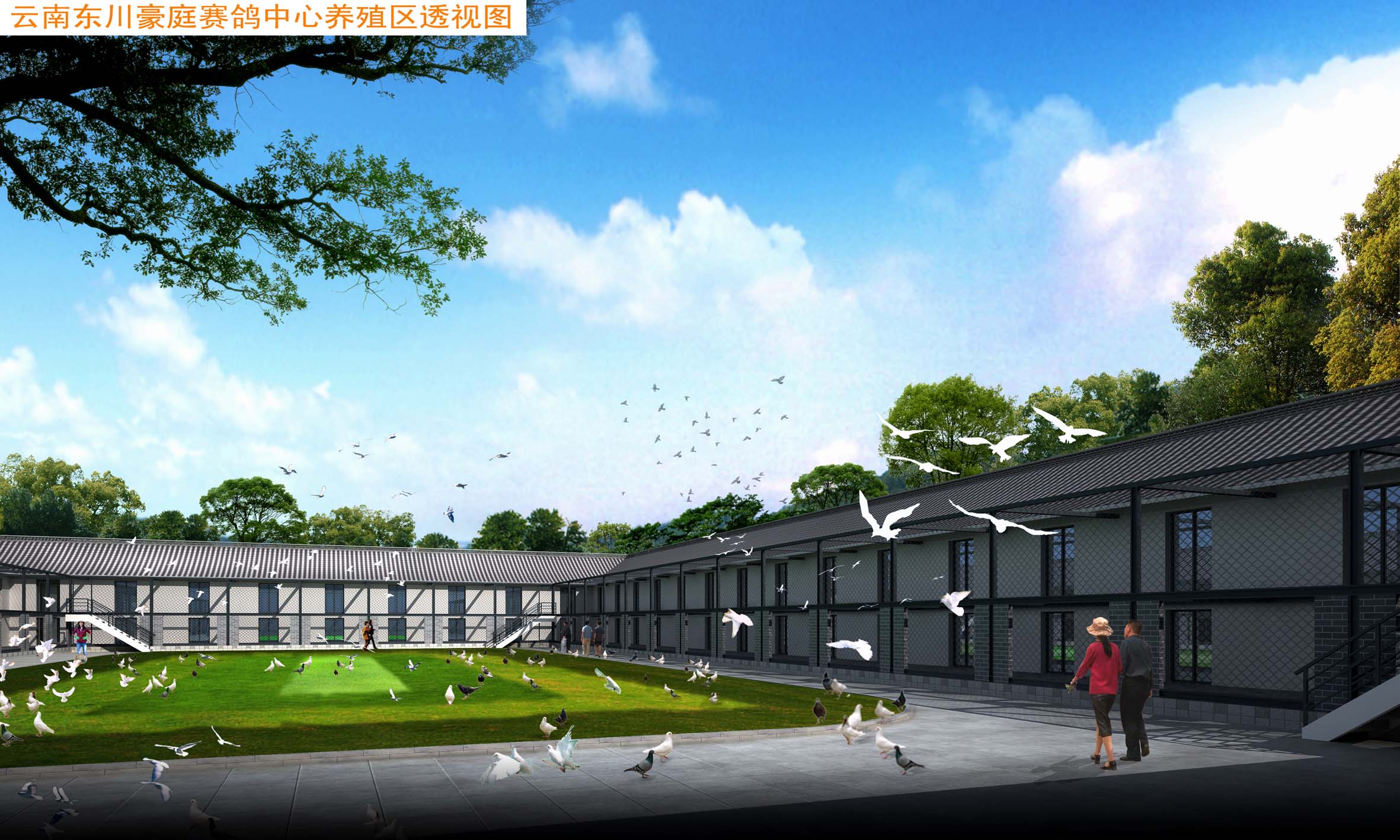 云南东川豪庭赛鸽中心秋棚