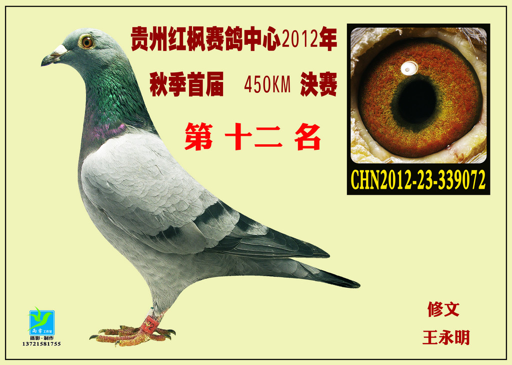 贵州红枫赛鸽中心