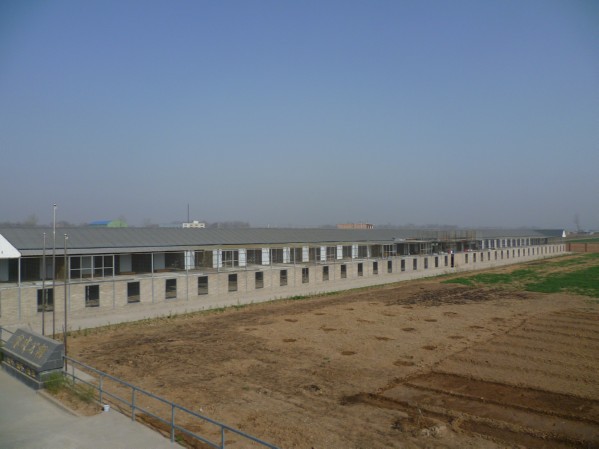 西安赛威赛鸽公棚