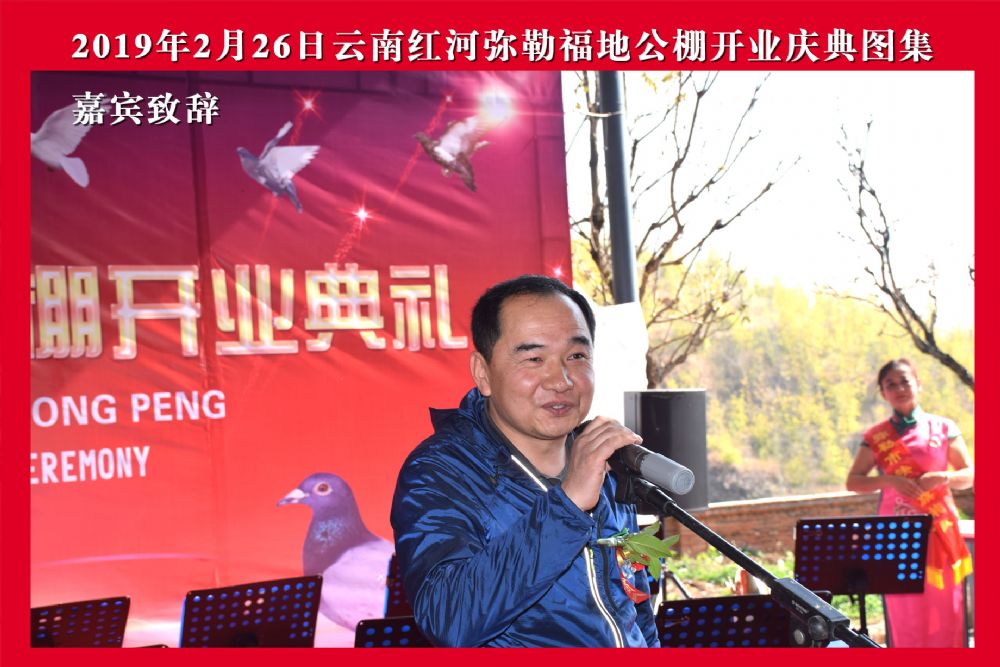 云南红河弥勒福地信鸽竞翔公棚